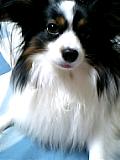 05-01-02_11-37.jpg