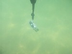 水中状況