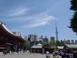 スカイツリー (5)