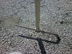現場主義（建設現場情報サイト） : 地上から排水管の管底高を測量することができる「下水管スタッフ」