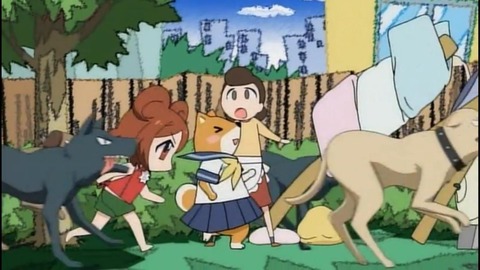 aimaimi-42