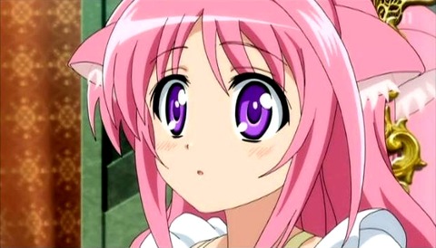 dogdays11