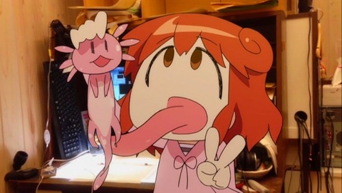 aimaimi-32