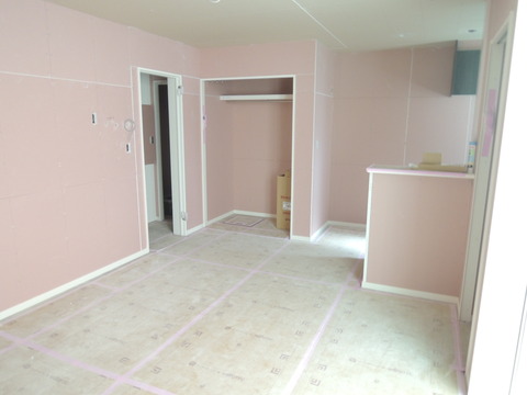 DSCN9091