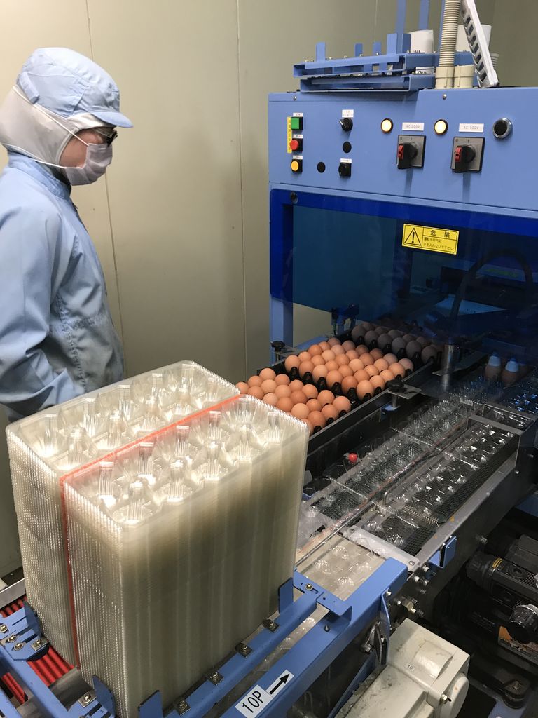 工場見学 シュタープの卵パック詰めに潜入 物流のシュタープ 社員ブログ