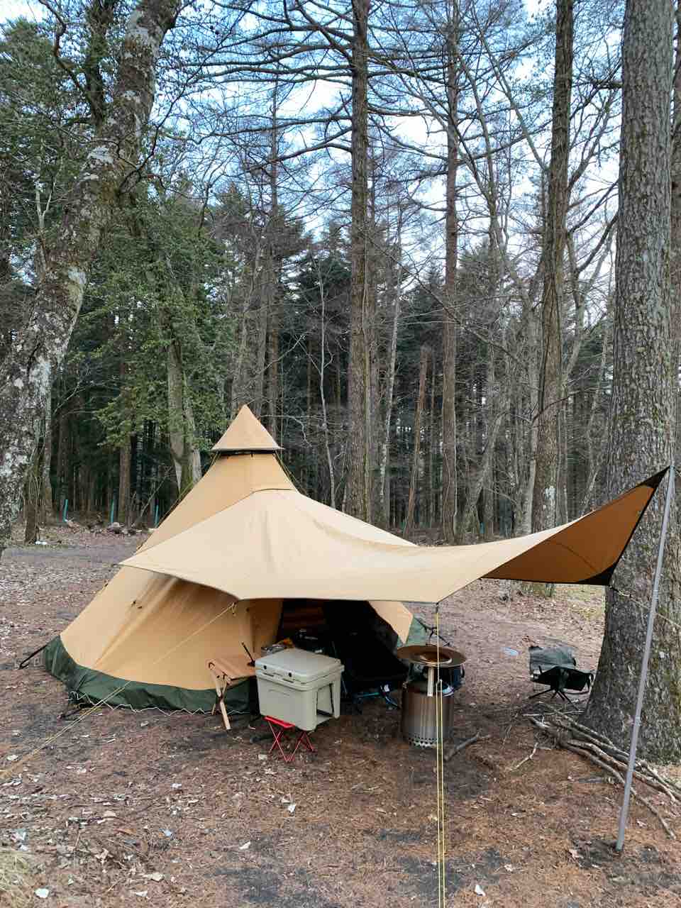 テンティピ キャノピー 7/9 CP Pro 定価89100円 テンティピ キャノピー 7/9 CP Pro 定価89100円 楽天市場