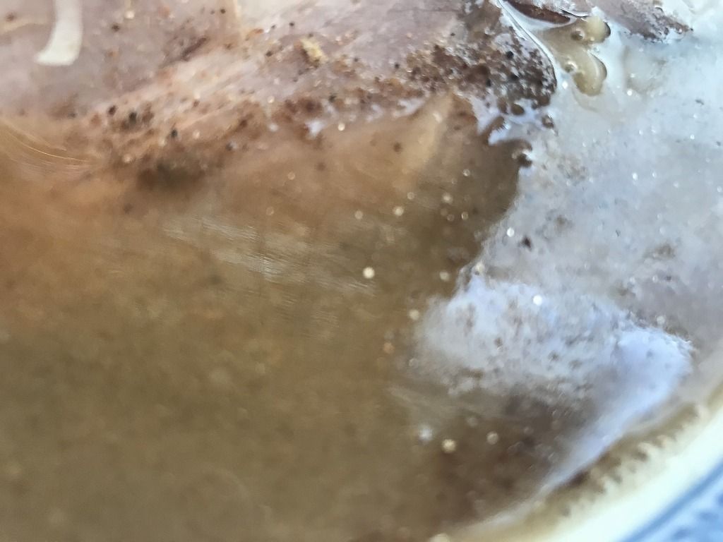 中華そば 田むら 青森市 こんざーぎのブログ