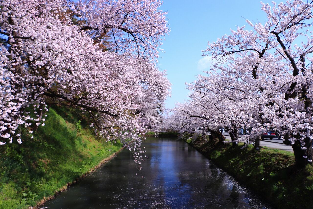 こんざーぎのブログ : 弘前公園の風景 2023.4.13(青森県弘前市)