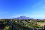 IMG_7252
