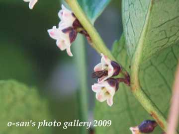 Img_5443 Img_5443