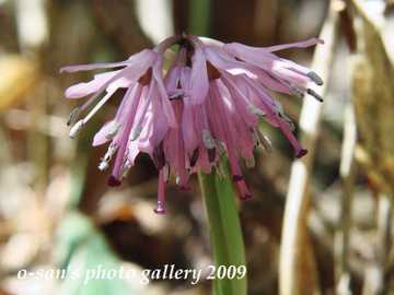 Img_5445 Img_5445