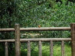 Dsc01124 Dsc01124