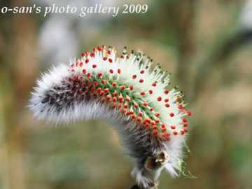 Img_5091 Img_5091