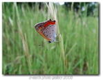 Img_3696 Img_3696