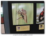 Img_3705 Img_3705