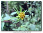 Img_3674 Img_3674