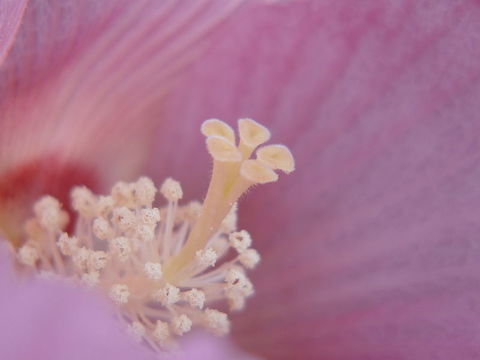 P1080653 P1080653