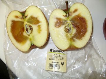 Img_6272_1 Img_6272_1