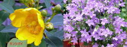 Lgds0jou_s Lgds0jou_s