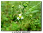 Img_3684 Img_3684