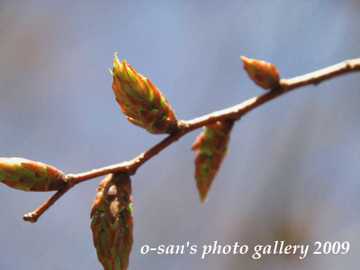 Img_5474 Img_5474