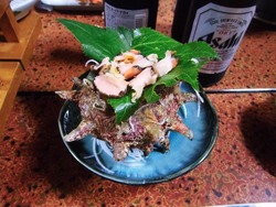 SAZAE