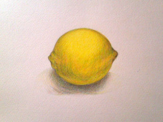 色鉛筆でレモンを描く イラスト制作手帖