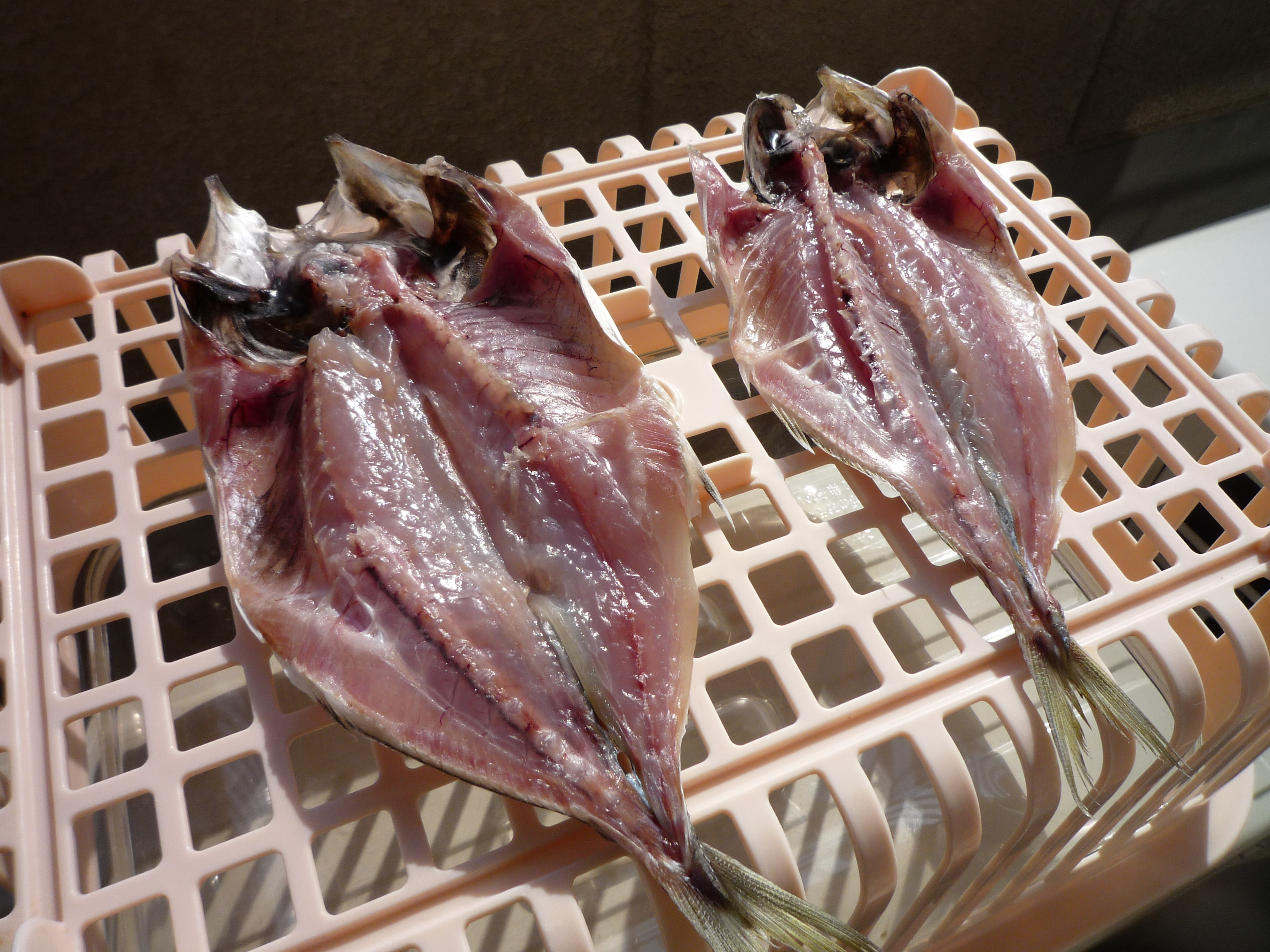 アジの干物のベランダ干し 俺の料理日記