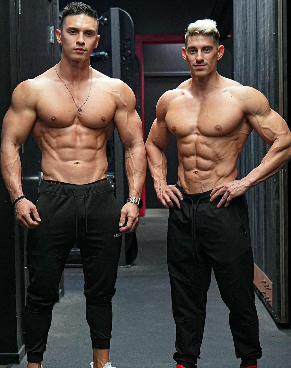 10年間家で腕立て伏せと腹筋ローラーだけで鍛えた肉体が凄い ジムやパーソナルトレーナーに散財してる奴はただの馬鹿 筋トレ予備校まとめ