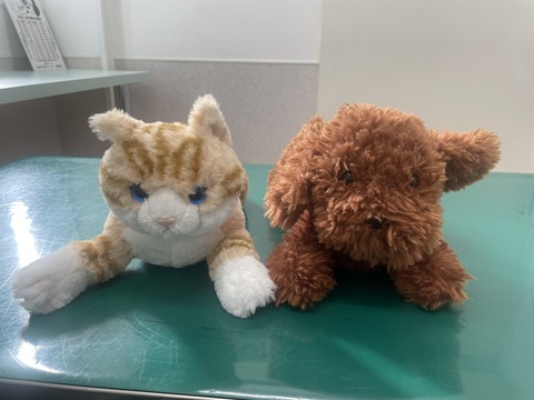 FDFC48C0-2F03-47DD-BE72-38F258C6311F