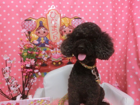 CIMG0506