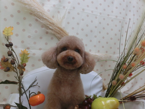 CIMG5979
