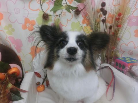 CIMG0060