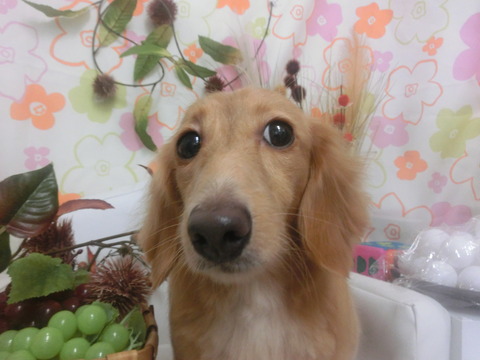 CIMG0055