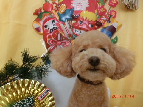 CIMG9585