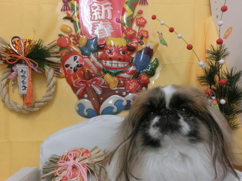 CIMG0168