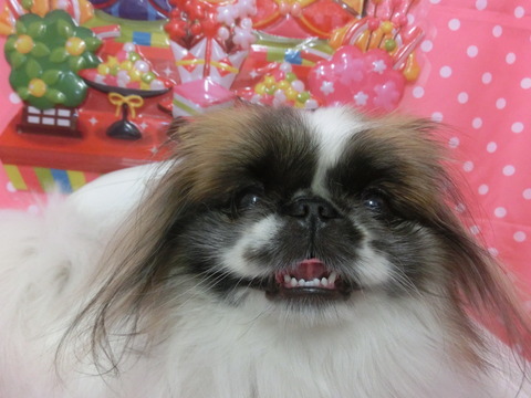 CIMG0344