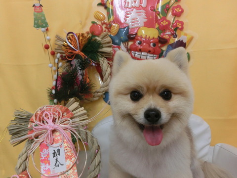 CIMG0016