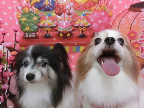 CIMG0935