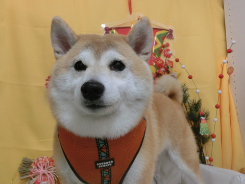 CIMG0082
