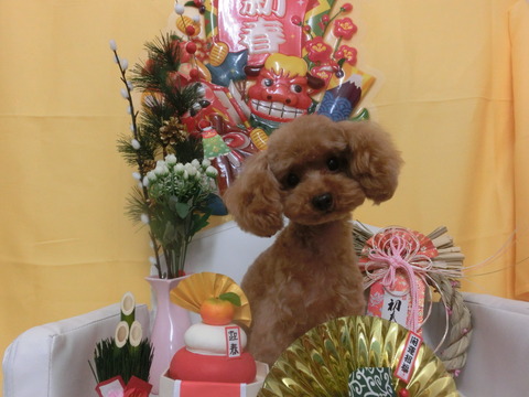CIMG0144
