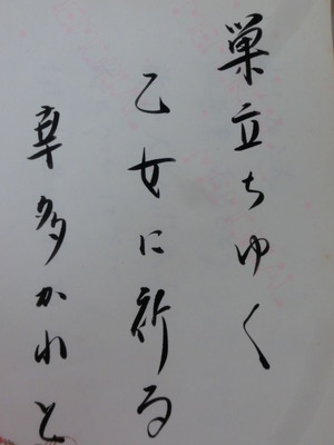 CIMG8987