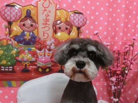 CIMG0209