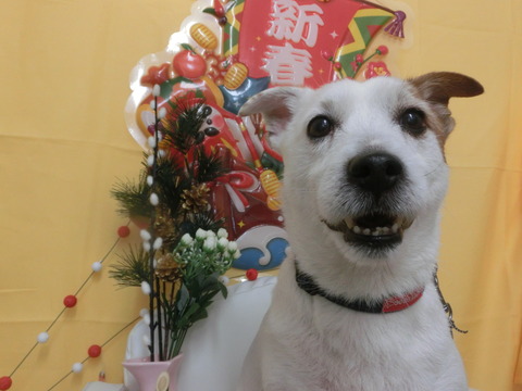 CIMG0123