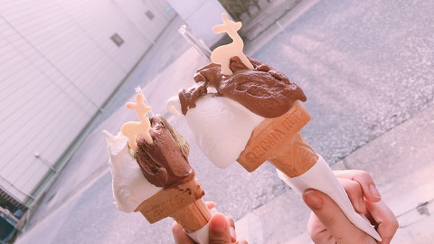 6624D7A0-A839-4AB9-8D55-C67E09E9EF4E