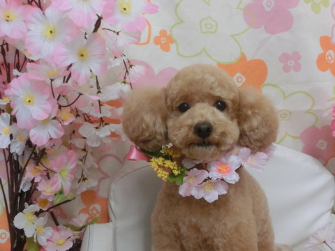 CIMG9881