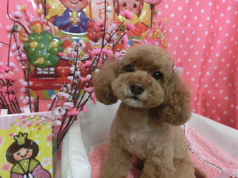 CIMG0539