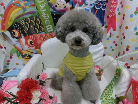 CIMG0277