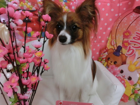 CIMG0701