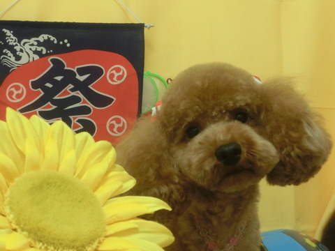 CIMG8114